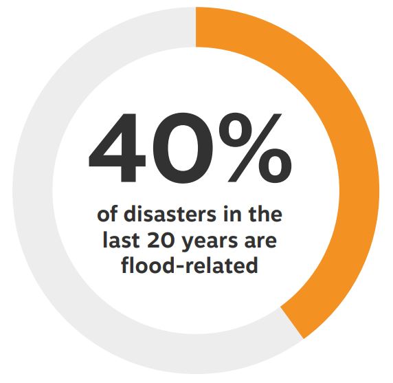 In this paper we consider the disasters that most businesses are talking about and that you need to consider as part of your Business Impact Analysis.